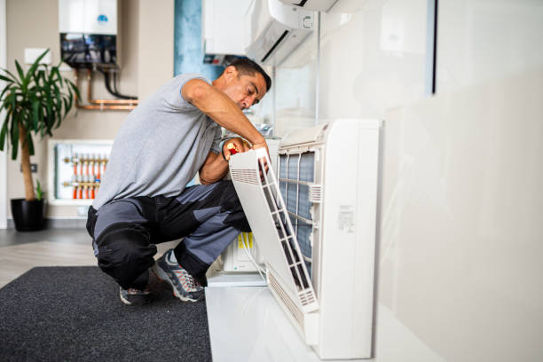 Best Air Duct Cleaning Company Near Me  in De Pue, IL