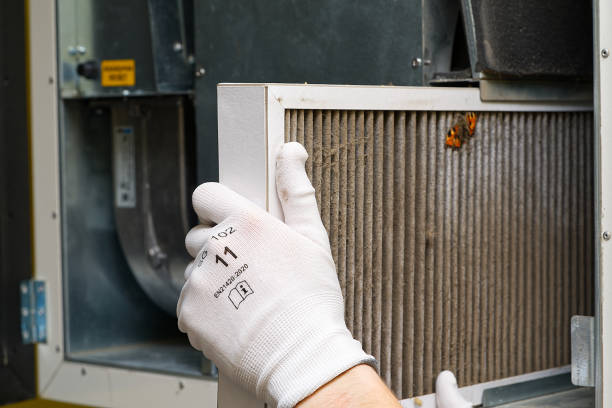 Best Affordable Air Duct Cleaning  in De Pue, IL