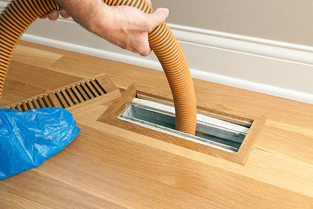 Best Air Duct Sanitizing Services  in De Pue, IL