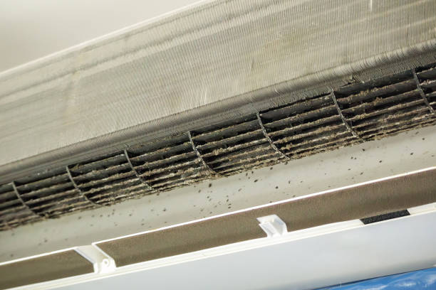 Best Professional Duct Cleaning Services  in De Pue, IL