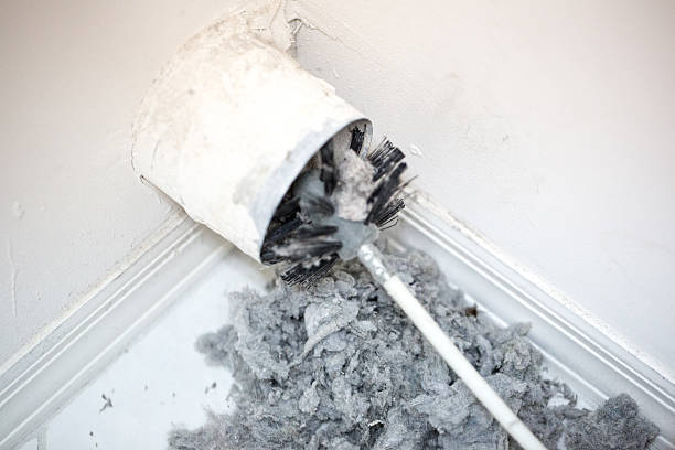 Best Residential Air Duct Cleaning  in De Pue, IL