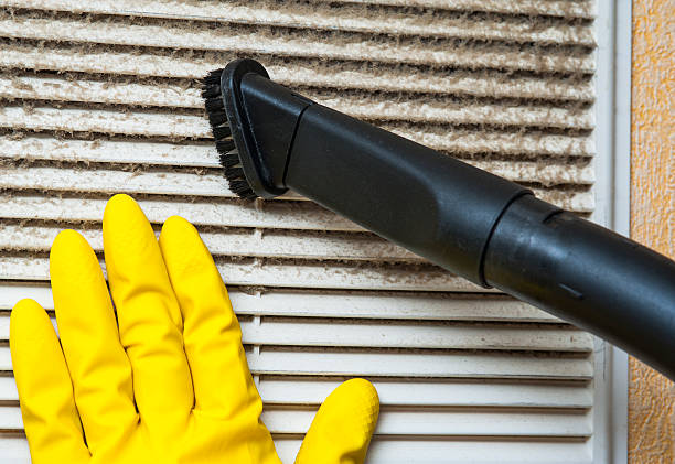 Best Commercial Air Duct Cleaning  in De Pue, IL